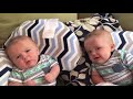 Twin babies singing