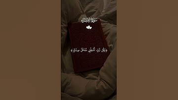 ✨ وقرآن الفجر إن قرآن الفجر كان مشهودًا         لحظة خشوع تهز القلوب#وقرآن_الفجر #قرآن #تلاوة_قرآن