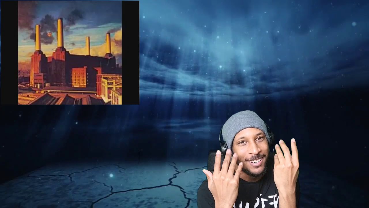 Pink Floyd Friday 30 Dogs Reaction! YouTube