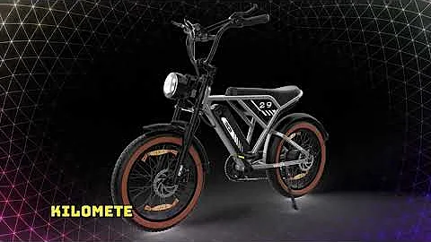 RCB RK29 Electric Bike 250W Motor 48V 15Ah Battery 20-Inch Electric Mountain Bike for Adults