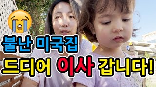 1년 6개월만에!! feat.너무 기쁜 3살딸의 댄스 파티!! 댄스 신동이야?ㅋㅋㅋ