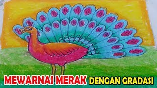 MEWARNAI BURUNG MERAK DENGAN GRADASI - MEWARNAI BURUNG MERAK