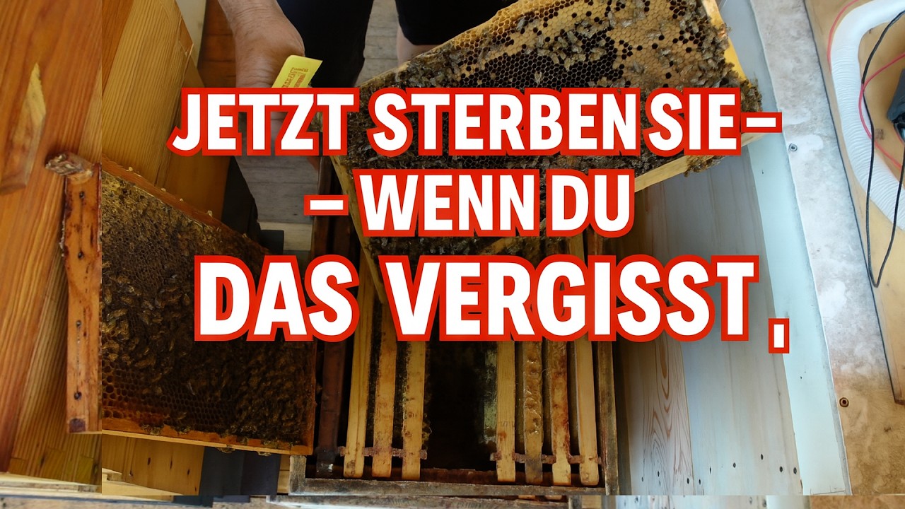 Ableger in Gefahr – Der größte Fehler im Juli!