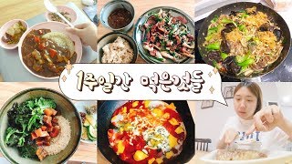 [샒의삶] 1주일간 (해)먹은 것 브이로그 (feat.집밥 홍선생✨)