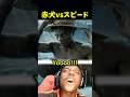 スピードがワンピースのアニメーションに登場する!?