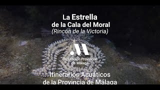 La Estrella de la Cala del Moral (Rincón de la Victoria). Senda Litoral La Estrella de la Cala del Moral (Rincón de la Victoria). Senda Litoral