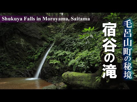 毛呂山町のクールスポット 宿谷の滝を訪ねる/滝とマイナスイオン/素敵な遊歩道/埼玉観光旅行vlog
