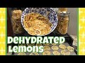 How To: Dehydrate Lemons 🍋 Recipes,  Food Storage, Preppers Pantry!