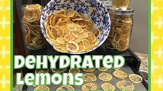 How To: Dehydrate Lemons  Recipes,  Food Storage, Preppers Pantry!