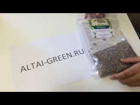 Расторопша. Обзор расторопши от Altai-Green.ru