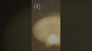 Strangest But True Mysteries That Will Blow Your Mind, Part 6 | Episode 218