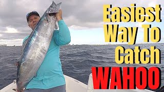 How To Catch WAHOO The EASIEST Way LURES, BAIT, GEAR, TROLLING BASICS & TACTICS