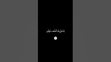 وفي السماء رزقكم وما توعدون- قراءة جميلة للقارئ ابراهيم افريدي