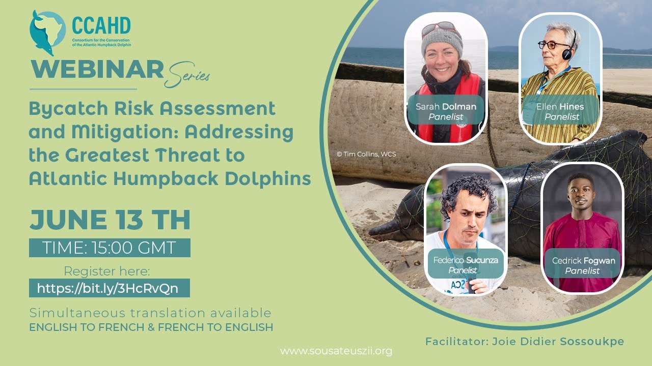 Bycatch risk assessment & mitigation: Adressing the greatest threat to the Atlantic humpback dolphin