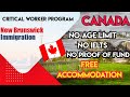 Canada Hiring Workers Labours Online Application New Brunswick Critical Worker Program Hindi