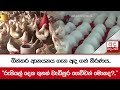 බිත්තර|sin