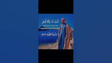 ارح قلبك المتعب قليلا 💛🎧  #القرآن_الكريم #تلاوات #القارئ_عوده_احمد