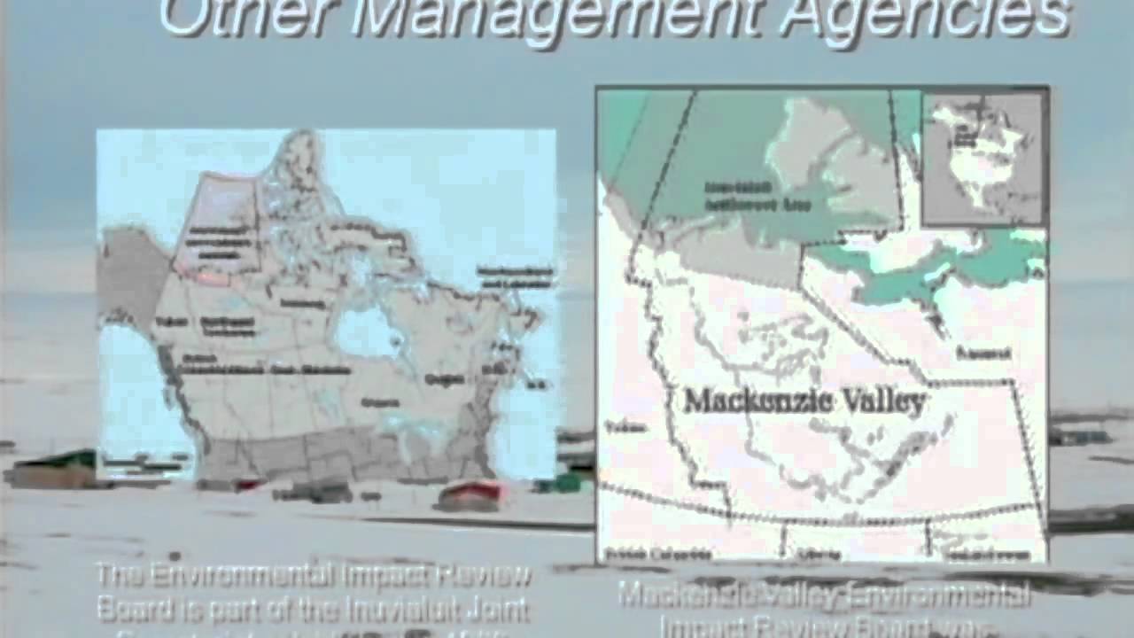 Multiple Cumulative Impact Assessment Multiple Cumulative Impact Assessment