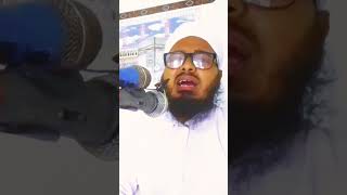 আবু রায়হান নাটোরের নতুন ওয়াজ মাহফিল ভিডিও ডাউনলোড islamicvideo shortvideo poetry banglawaz