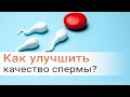 Как улучшить (повысить) качество спермы