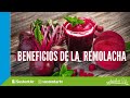 Remolacha Propiedades curativas y nutritivas ¿LO SABÍAS?