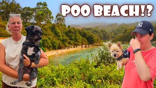 Vanlife - POO PARADISE in Asturias!?