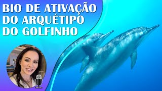 ARQUÉTIPO DO GOLFINHO - ANIMAL DE PODER - Com Música 417Hz e Subliminares de Afirmações Positivas!