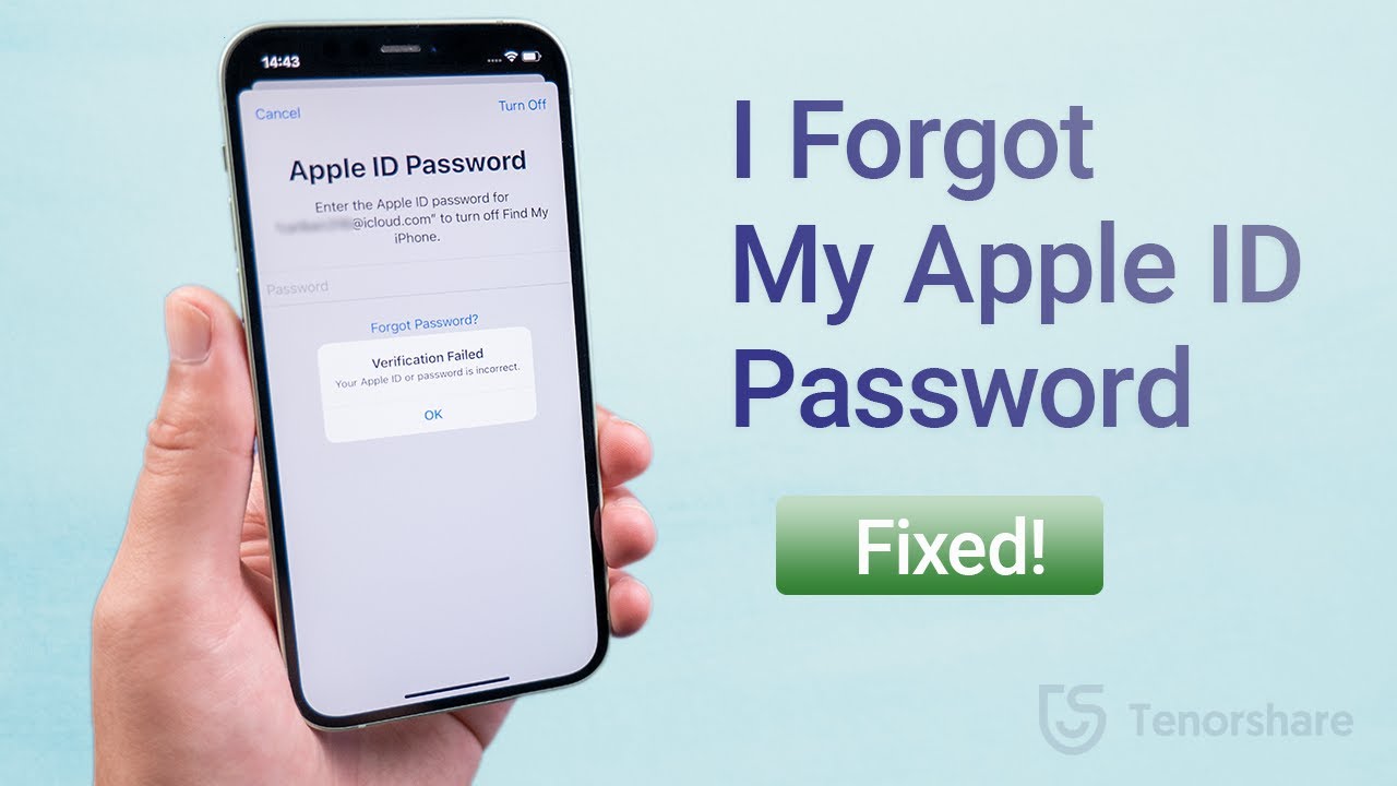 How do I reset my Apple ID password without my phone number or email?