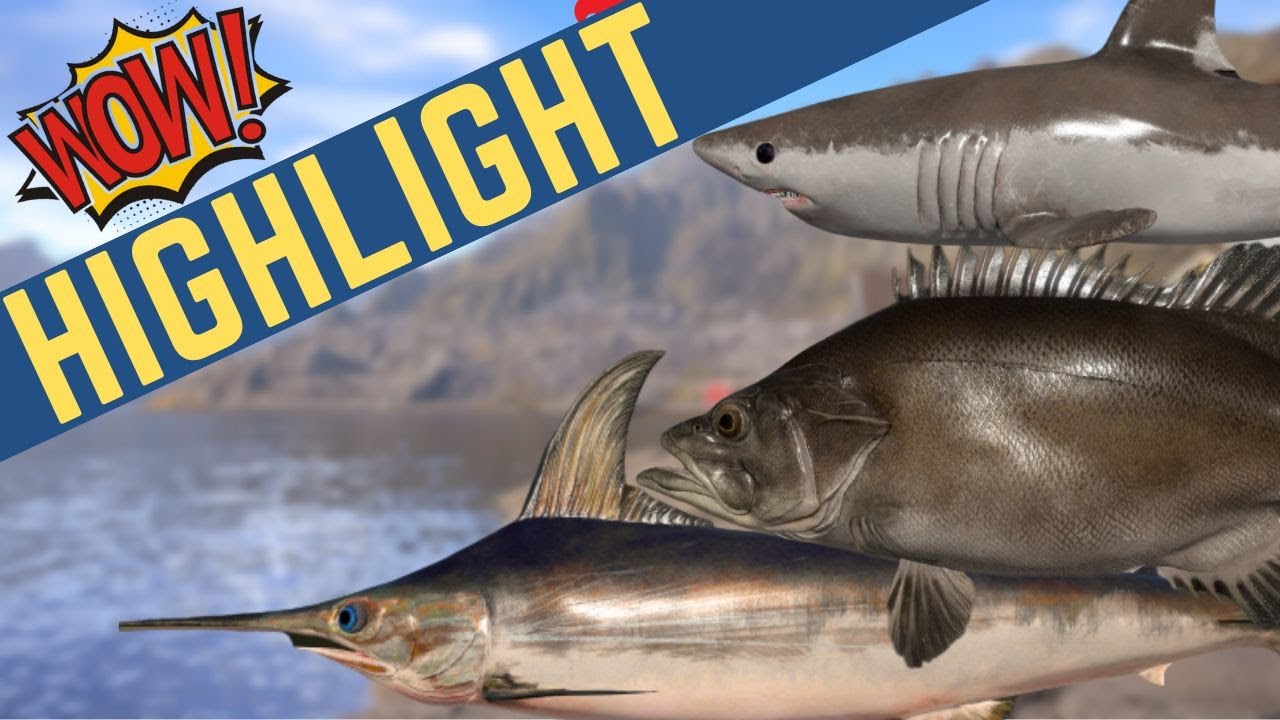 Bottom and Trolling 75 m | Rare Fishies | Mar 24 2024 - YouTube