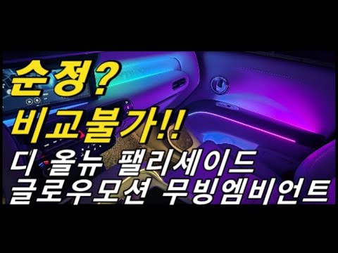 [디올뉴팰리세이드LX3] 순정과는 비교 불가! 디 올뉴 팰리세이드 글로우모션 무빙엠비언트