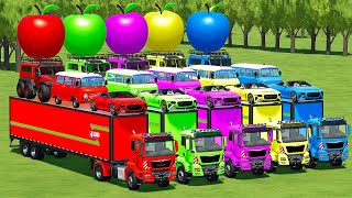 TRANSPORTING BENTLEY, MINI BUSES & APPLES WITH MAN TRUCKS! Farming Simulator 22