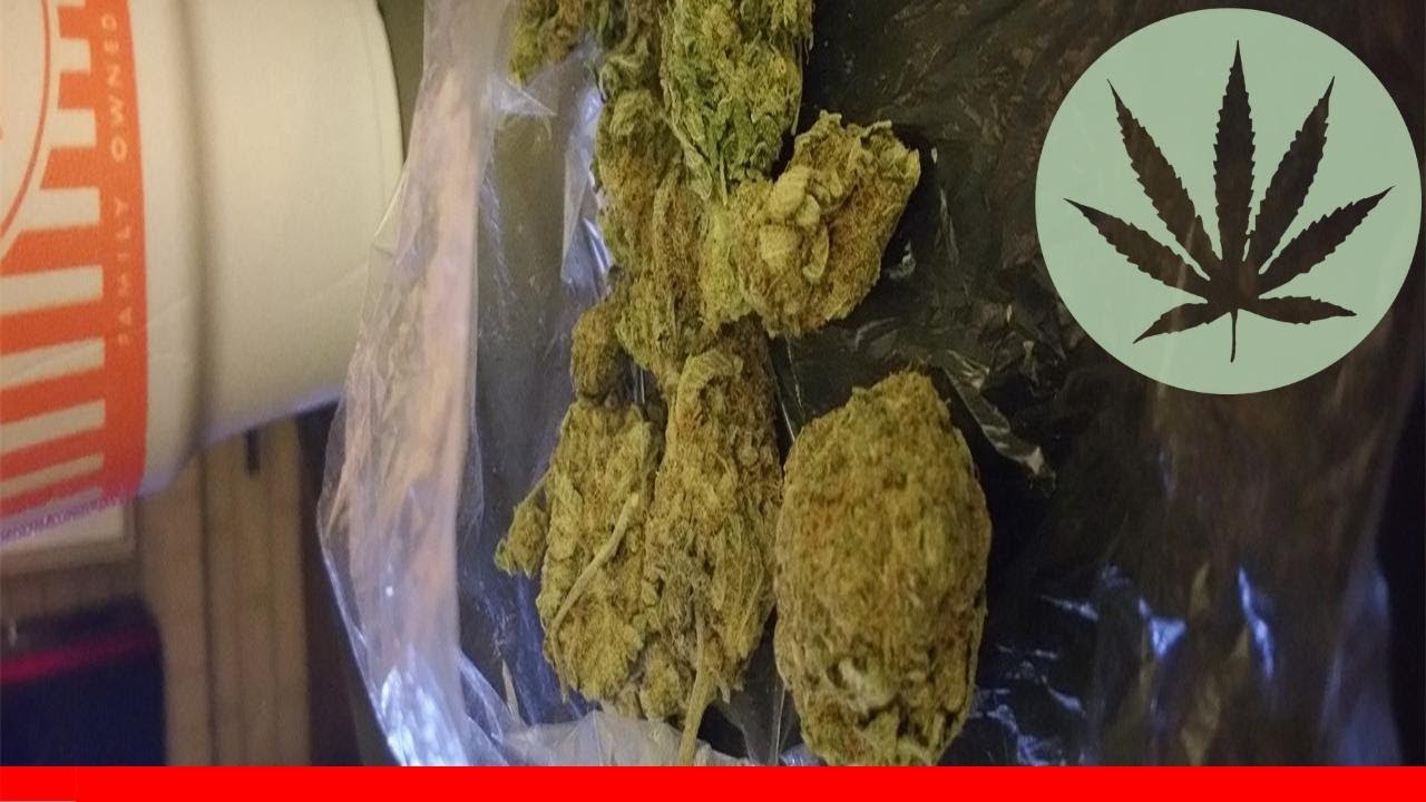 Haze Berry - All About This Strain