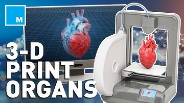 How Scientists Are 3D Bio-Printing Human Organs
