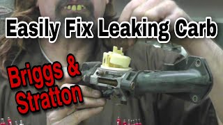 HowTo fix a leaking Briggs carburetor: the complete guide