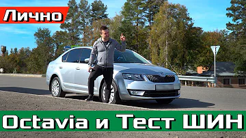 Новые VS Старые ШИНЫ! Сравниваем тормозной путь 100-0 у Skoda Octavia A7! #proAutoTV