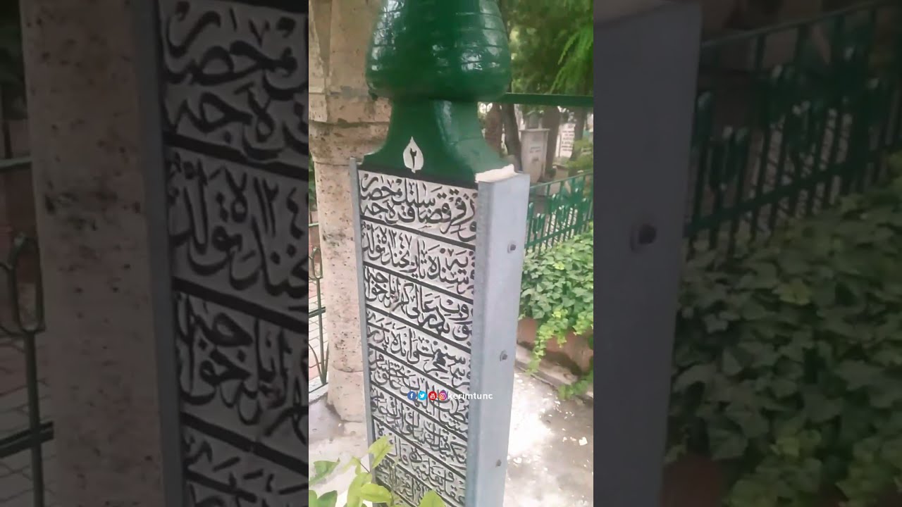 Sarı Emmi, Dişçi Mehmed Efendi Şeyh Hasan Kudsi Efendi ve Muhammedi Bahaeddin Nakşibendi Efendi