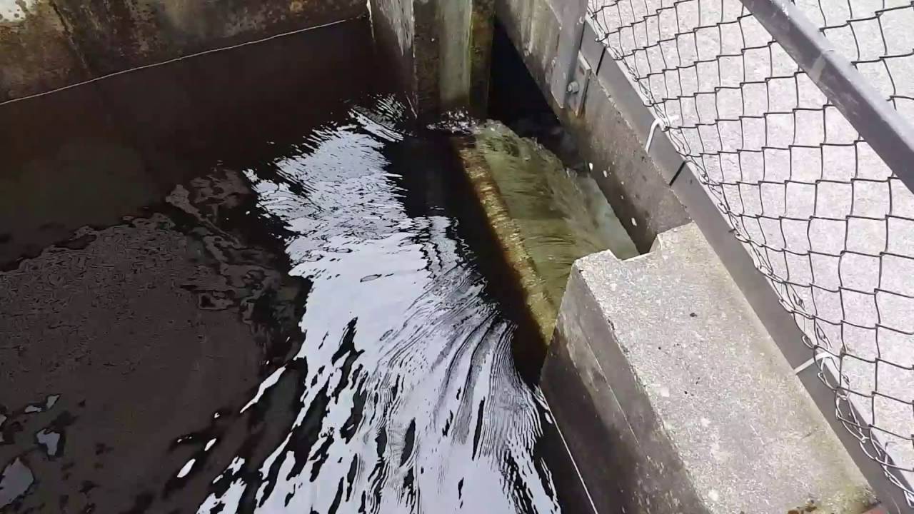 THE SALMON LADDER Grand FallsWindsor YouTube