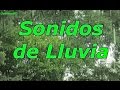 12 horas de lluvia para dormir y relajarse / sonidos de lluvia / dormirse