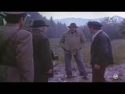 Acțiunea „Autobuzul” (1978)