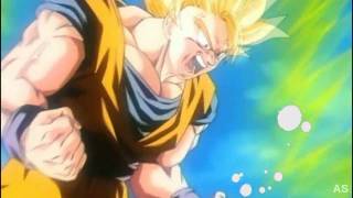 ×Dragonball-Diary of Jane× [Happy Birthday Paola]