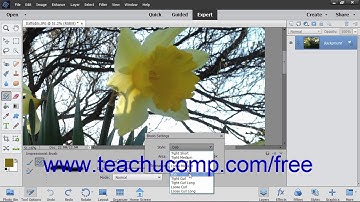Photoshop Elements 2019 Tutorial The Impressionist Brush Adobe Training