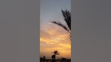 وعسى أن تكرهوا شيئا وهو خيرٌ لكم بصوت القارئ محمّد هشام💚صوت مريح للنفس