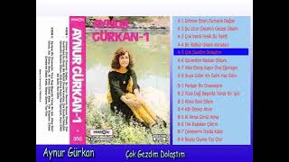 Aynur Gürkan - Çok Gezdim Dolaştım Resimi