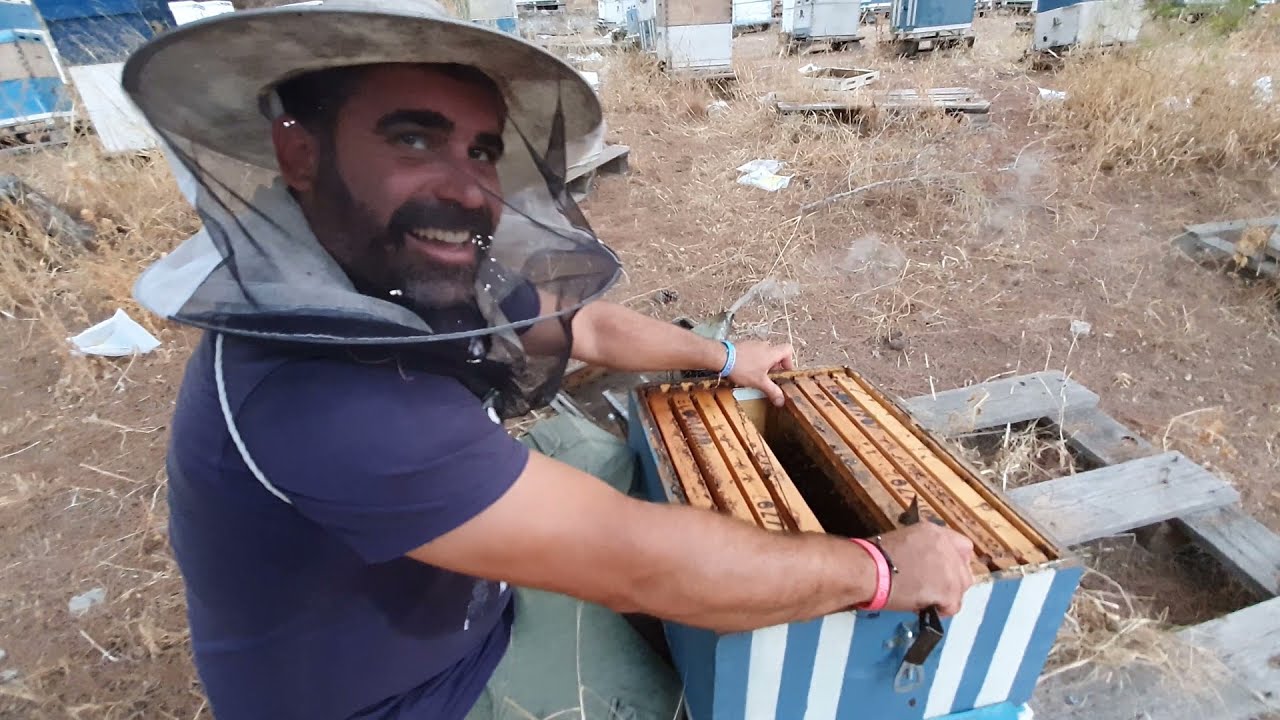 Τρύγος Θυμαρίσιου Μελιού σε στατικό μελισσοκομείο. Αυγουστος 2021