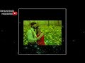 New ❤Marathi 💜dj Remix🧡whatsapp Status 2019 First Love