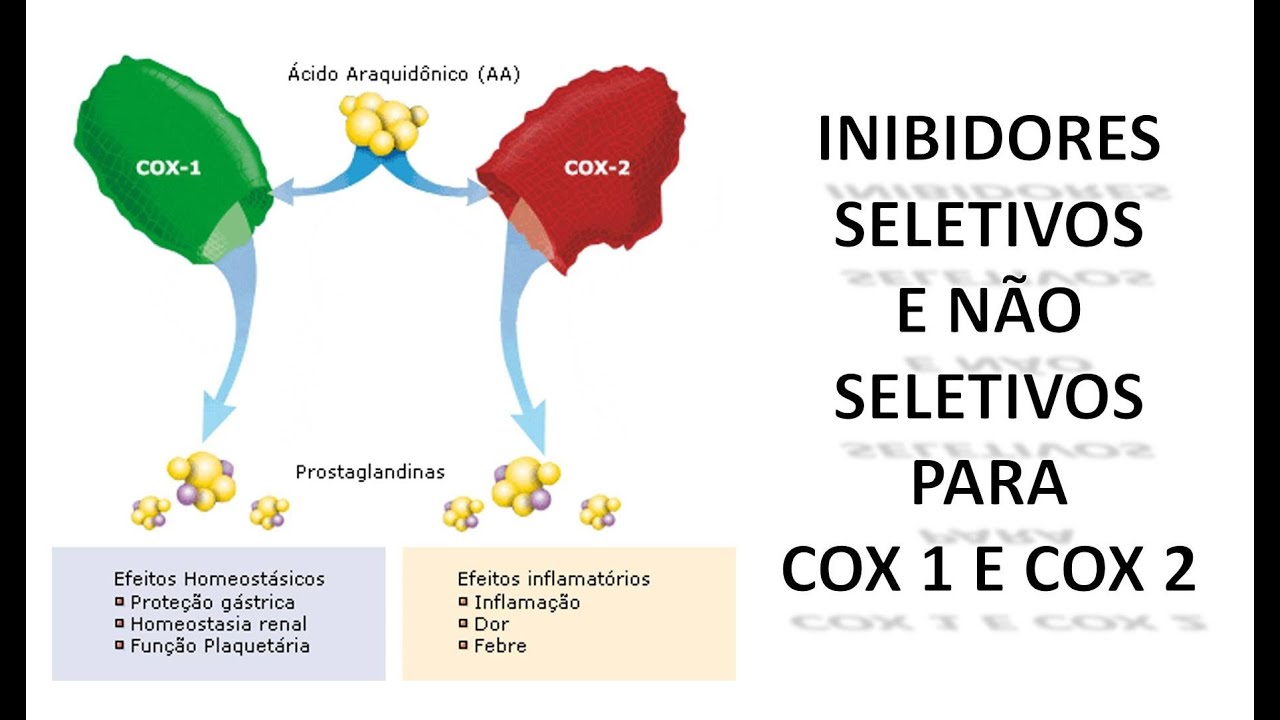INIBIDORES SELETIVOS E NÃO SELETIVOS PARA COX 1 E 2 YouTube