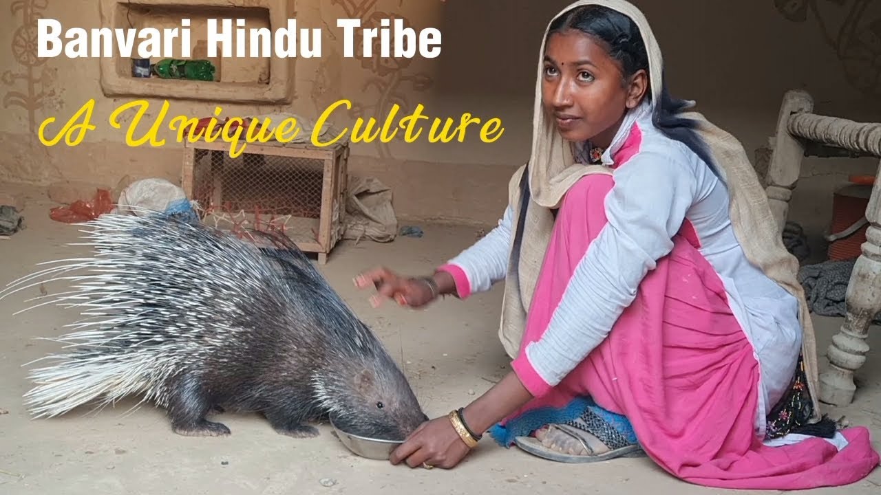 Banvari Hindu Tribe in Pakistan || A Unique Culture || बनवारी हिंदू ...