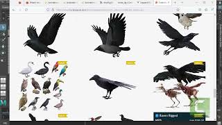 Crow Rig Introduction