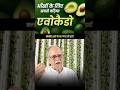 आँखों के लिए सबसे बढ़िया एवोकैडो | Avocado is the best for eyes