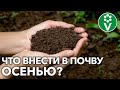 ОБЕДНЕЛА ПОЧВА? ВОТ КАК ВОССТАНОВИТЬ ПЛОДОРОДИЕ для больших урожаев в следующем году!